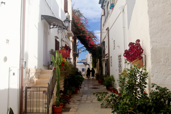 Van Tour nella Valle D’Itria